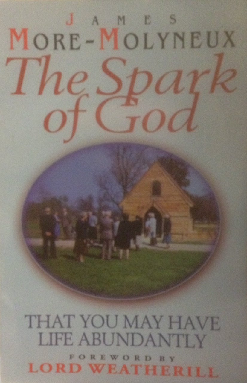 The Spark of God book