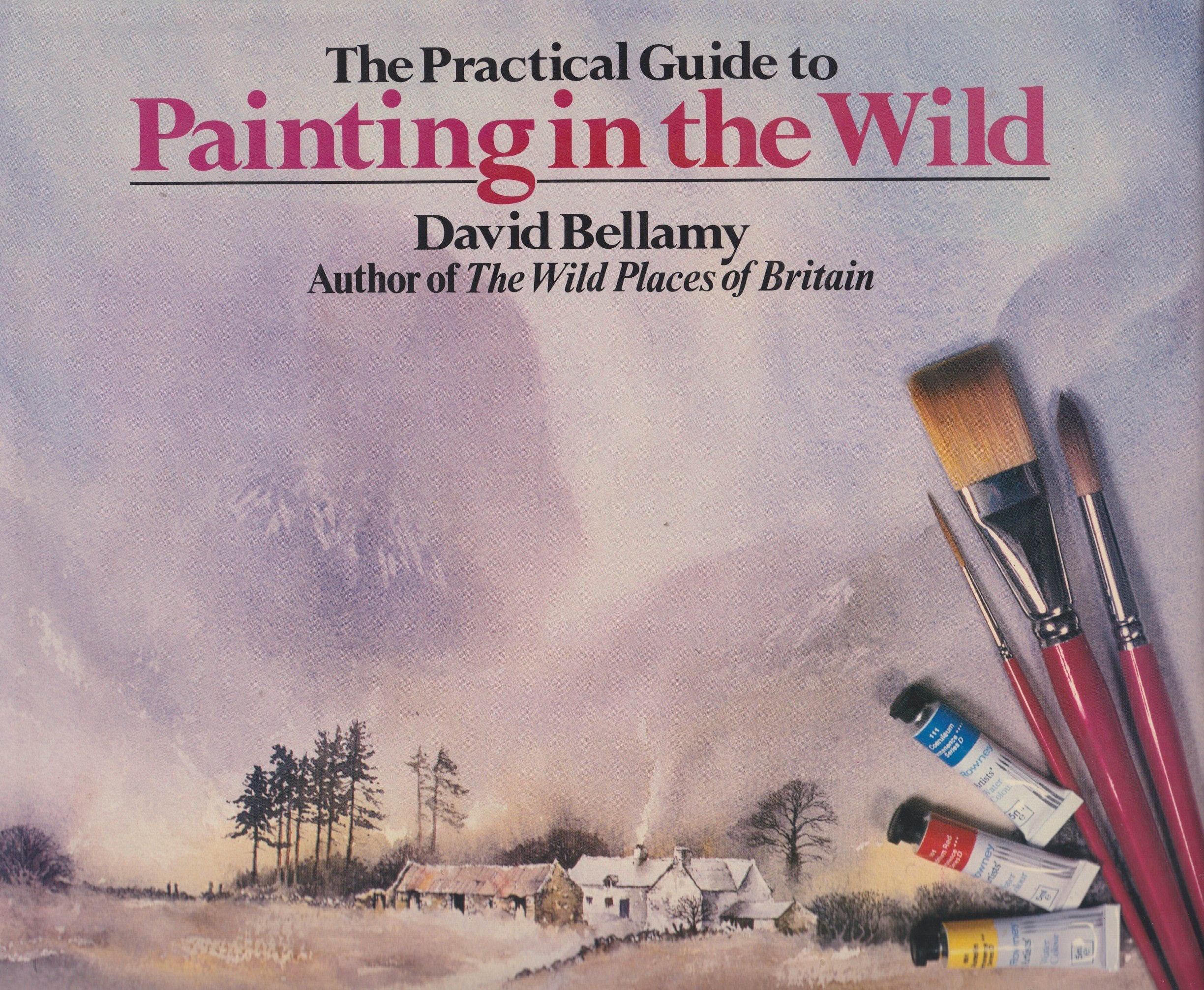 Product Image: The Practical Guide to Painting in the Wild