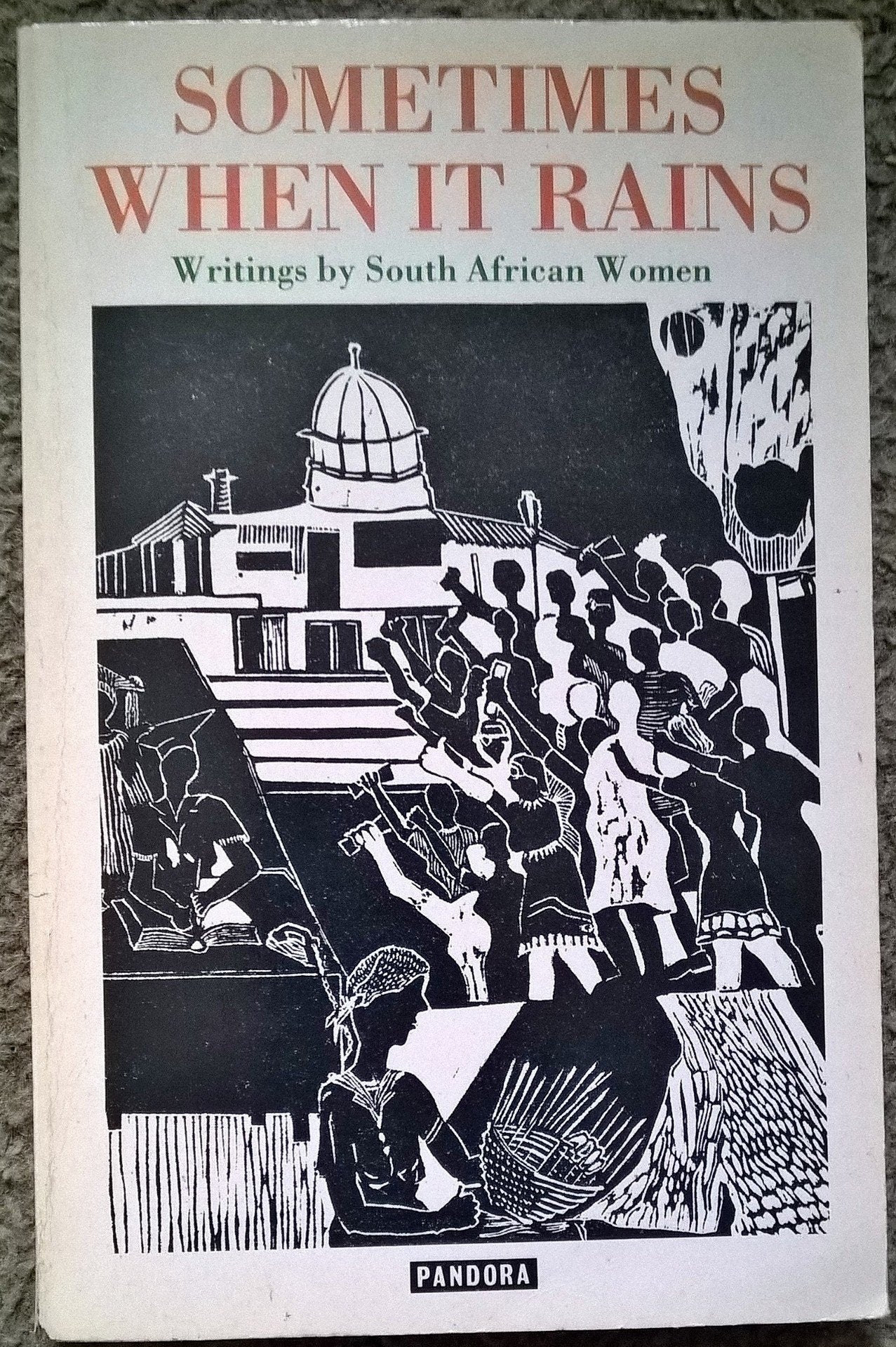 Sometimes When It Rains: Writings by South African Women Contemporary literature