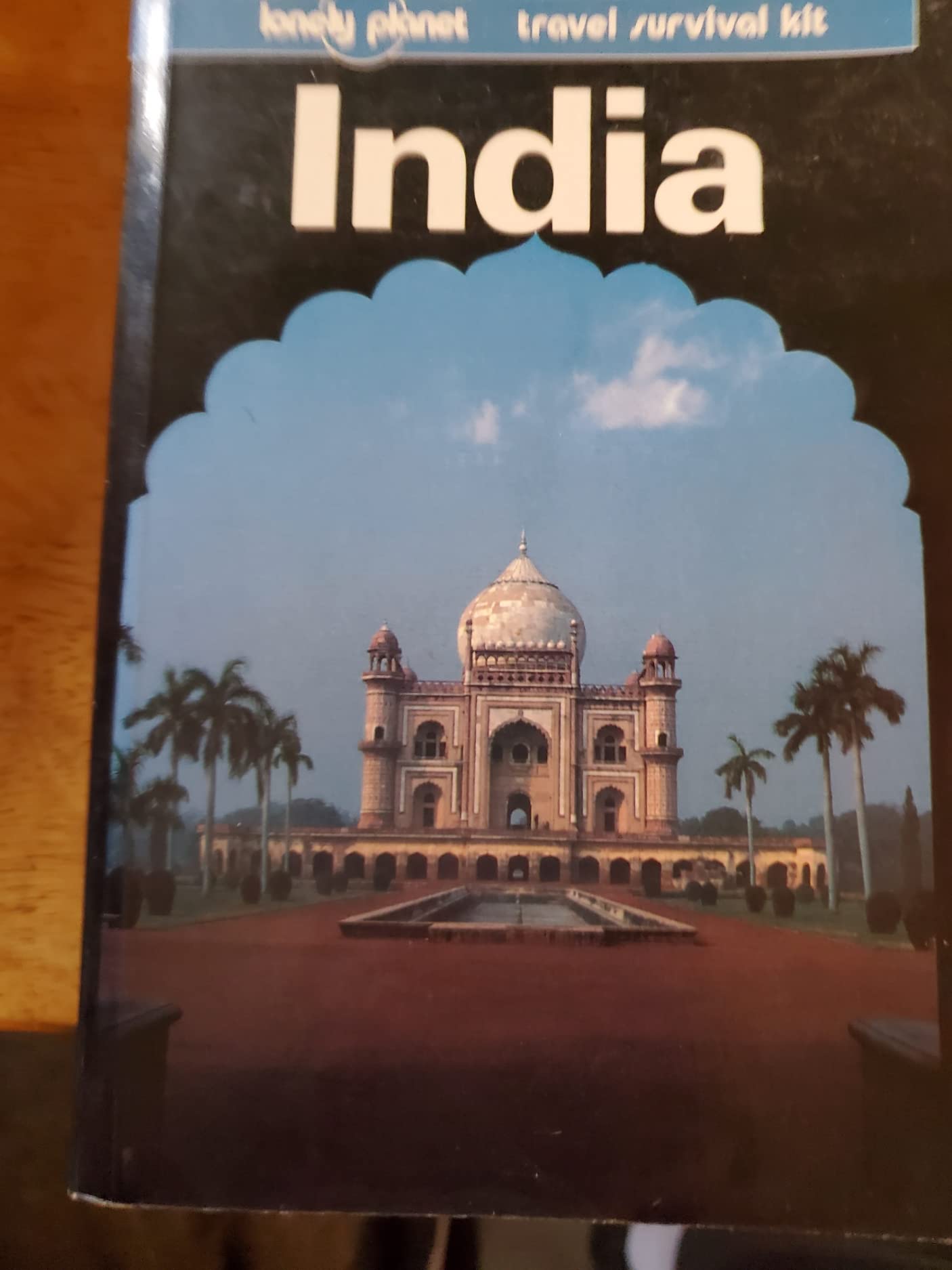 India: A Travel Survival Kit (Lonely Planet Travel Survival Kit) Leisure, Home & Garden