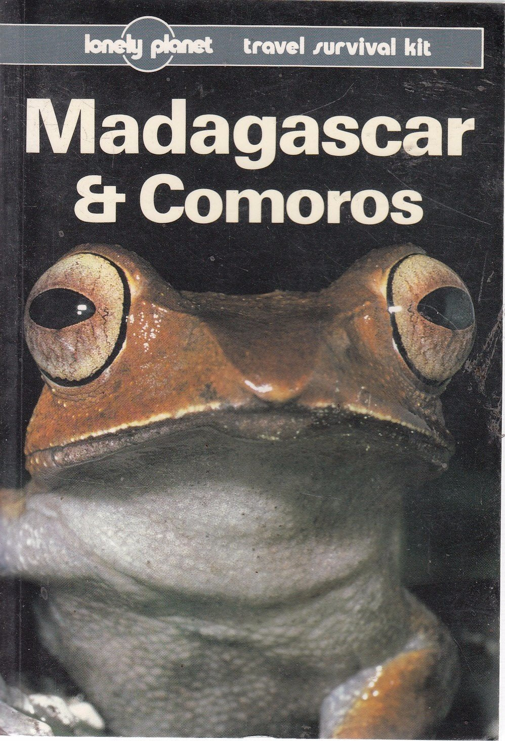 Madagascar and the Comoros (Lonely Planet Travel Survival Kit) Leisure, Home & Garden