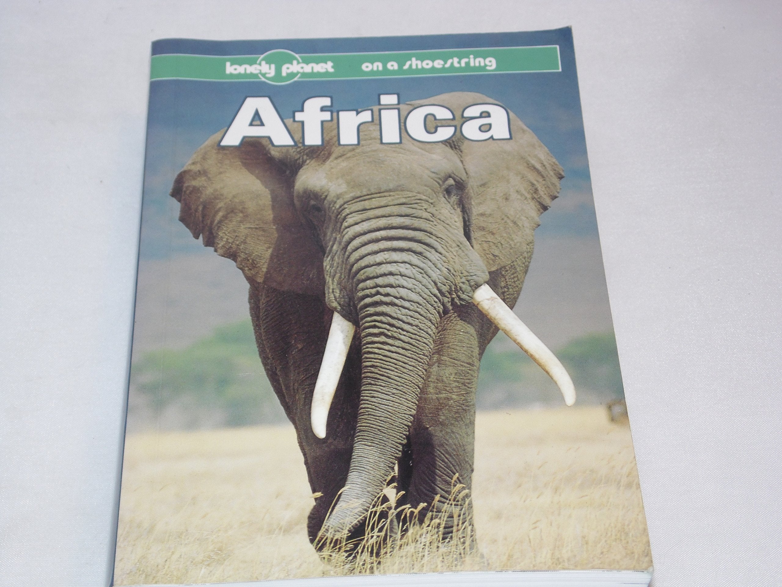 Lonely Planet Africa (LONELY PLANET AFRICA ON A SHOESTRING) Leisure, Home & Garden