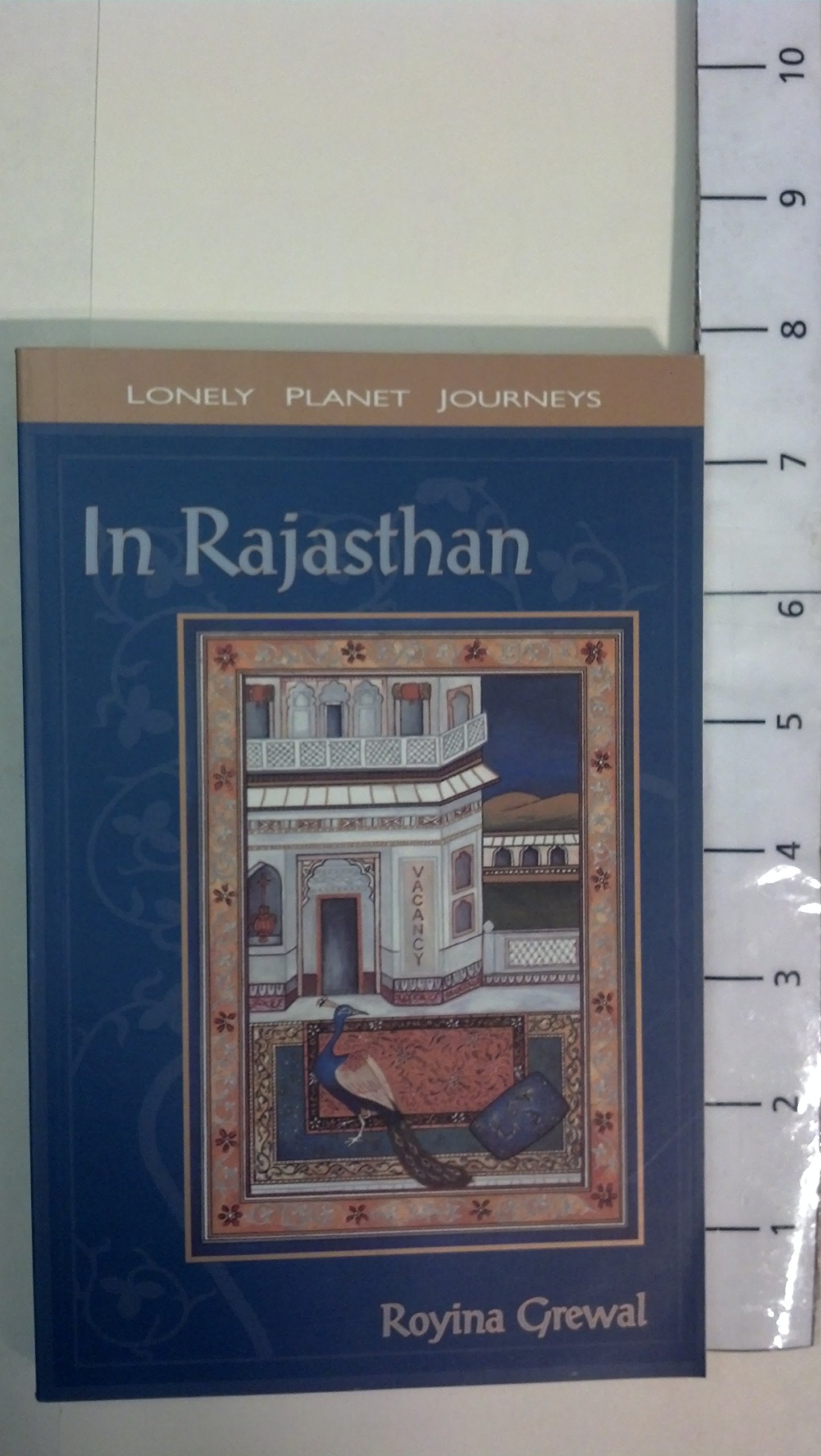 Lonely Planet in Rajasthan (Lonely Planet Journeys) Leisure, Home & Garden