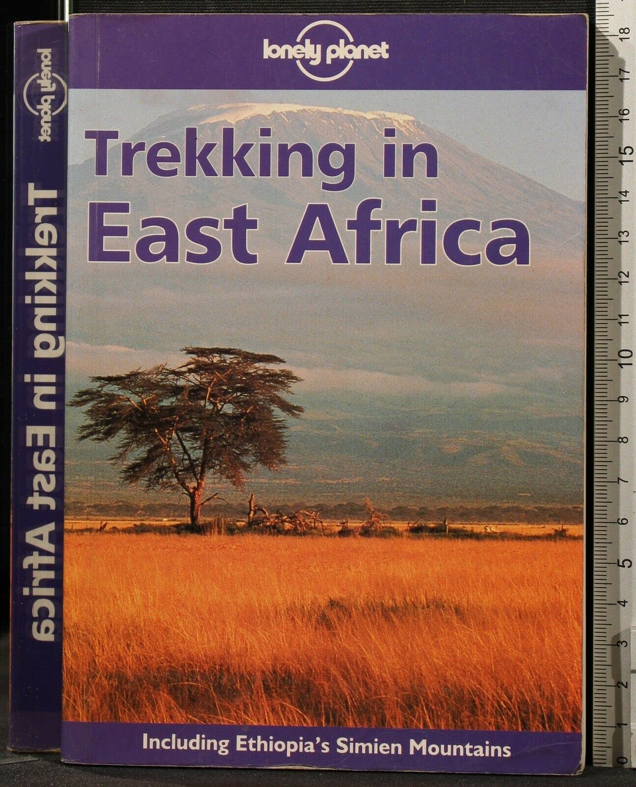 Lonely Planet Trekking in East Africa Leisure, Home & Garden