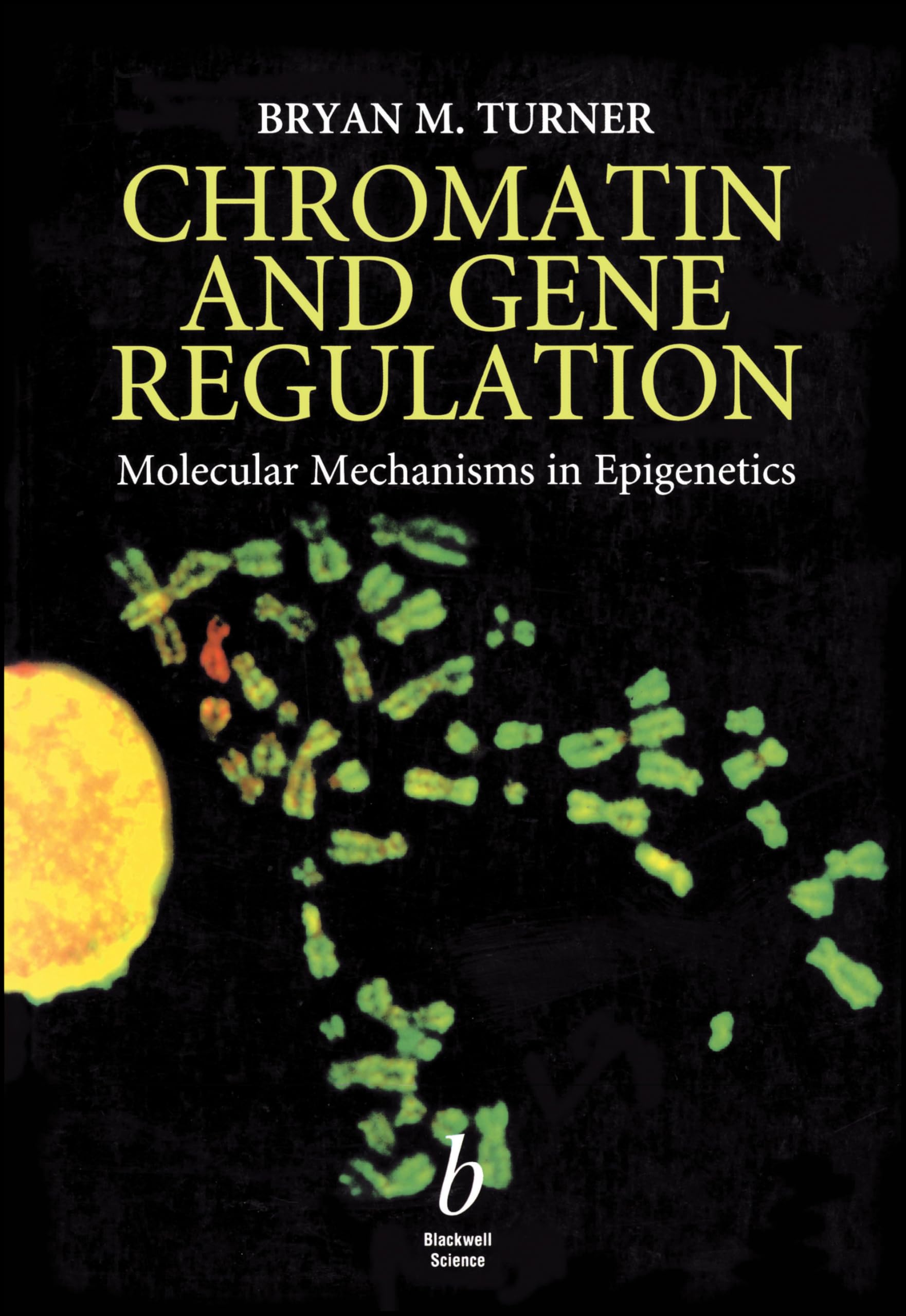 Chromatin and Gene Regulation: Molecular Mechanisms in Epigenetics Natural Sciences