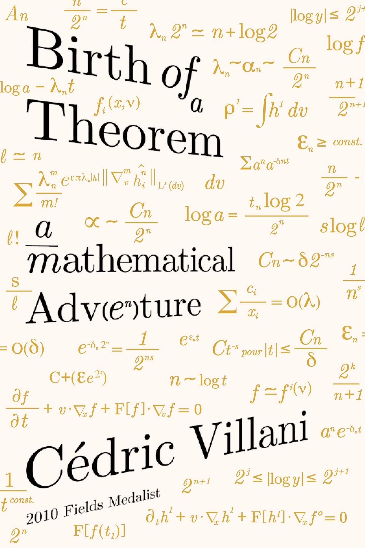 Birth of a Theorem book