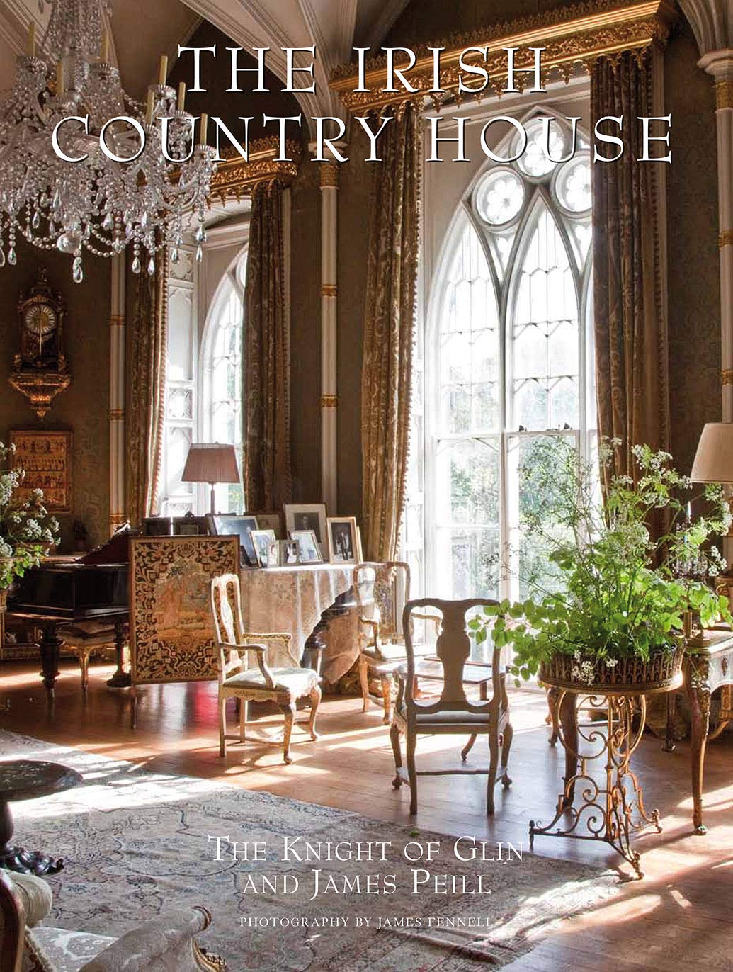 The Irish Country House Architecture