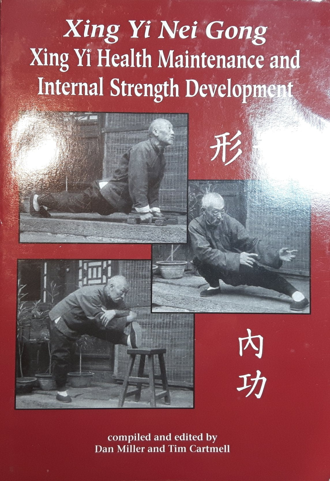 Xing Yi Nei Gong: Xing Yi Health Maintenance and Internal Strength Development book
