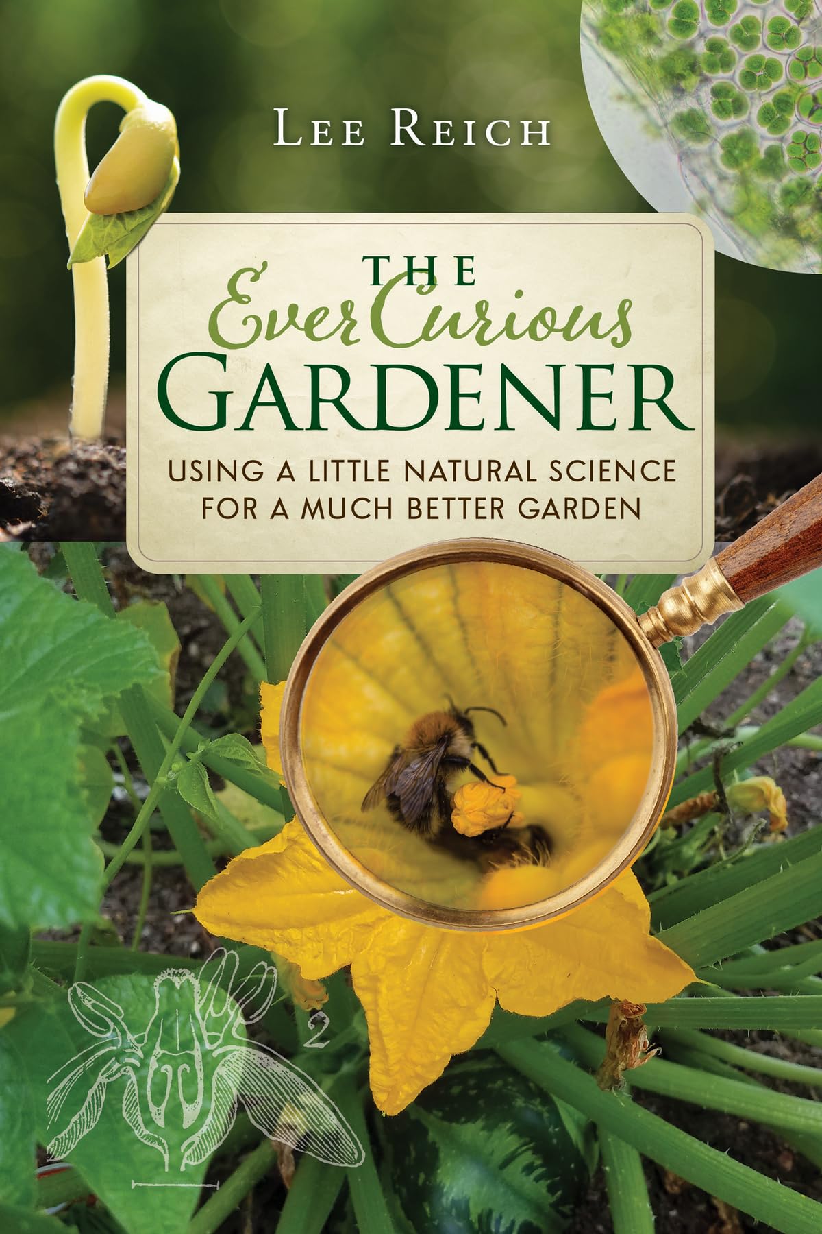 Ever Curious Gardener: Using a Little Natural Science for a Much Better Garden Mathematics