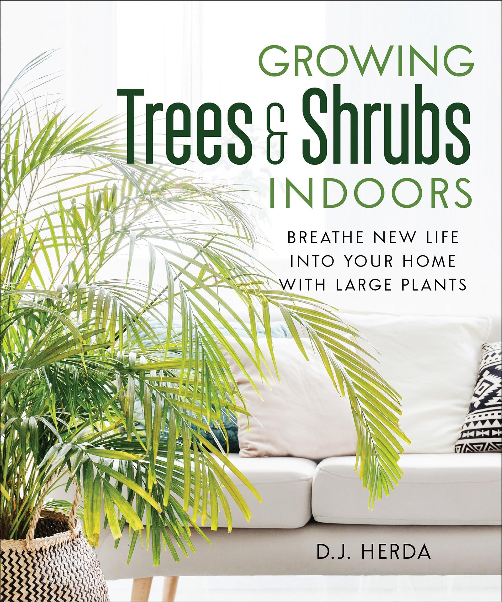 Growing Trees and Shrubs Indoors: Breathe New Life into Your Home with Large Plants Garden & Plants