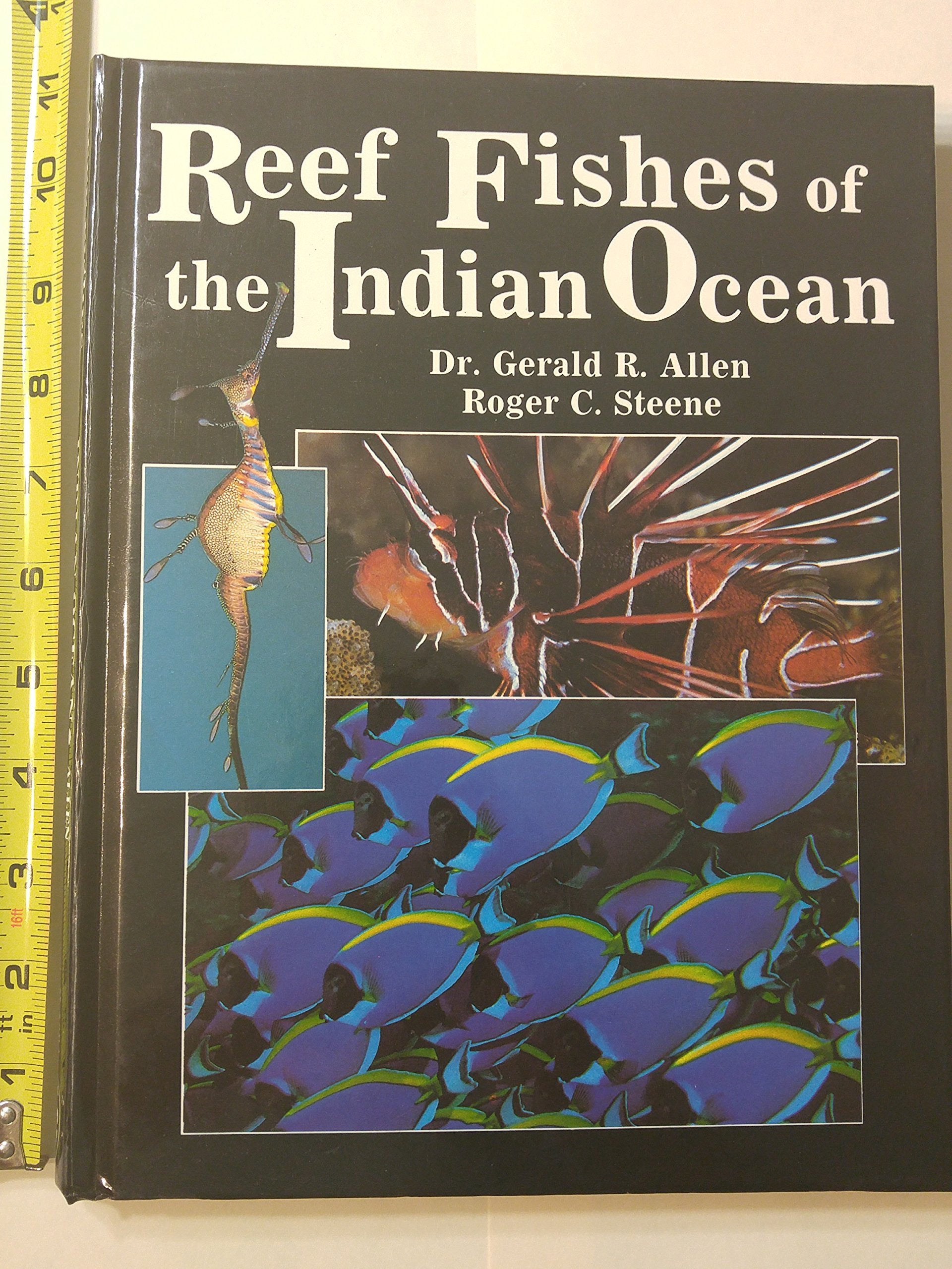 Reef Fishes of the Indian Ocean: A Pictorial Guide to the Common Reef Fishes of the Indian Ocean (PACIFIC MARINE FISHES) Mathematics