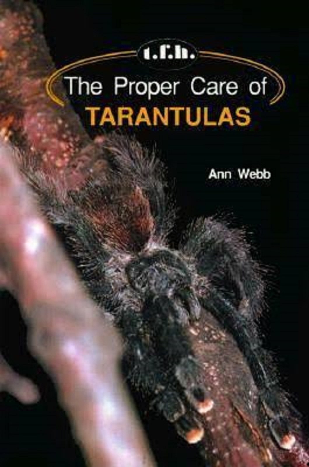 The Proper Care of Tarantulas Pets