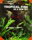 Tropical Fish As a New Pet Mathematics