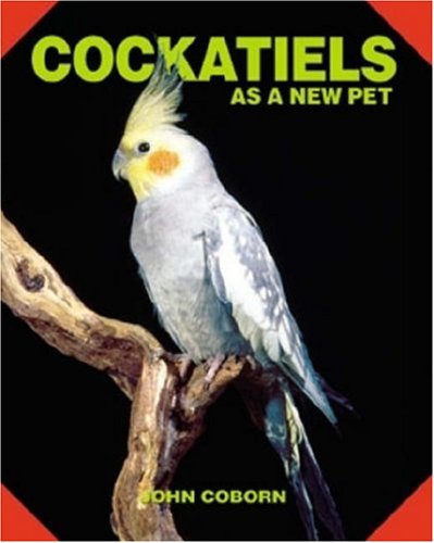 Cockatiels As a New Pet Pets