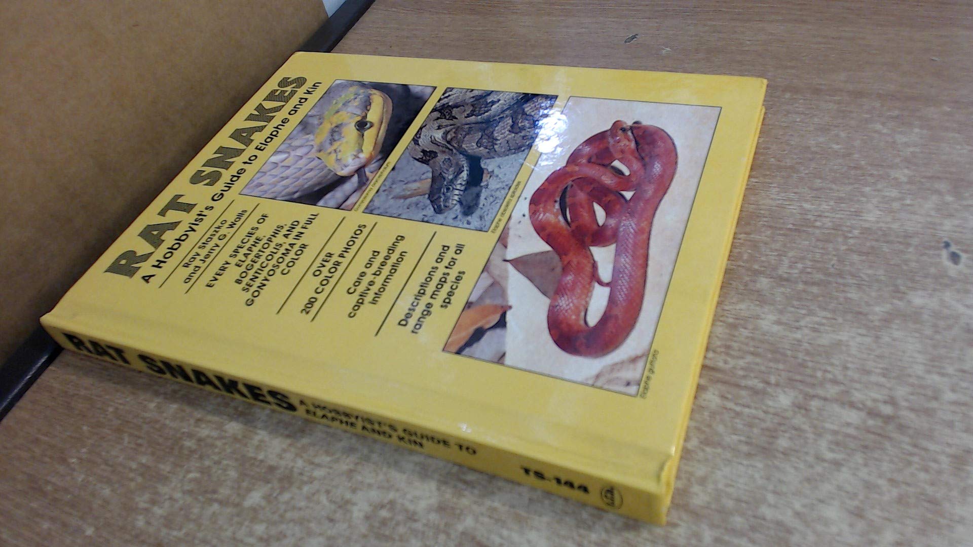 Rat Snakes: A Hobbyist's Guide to Elaphe and Kin book