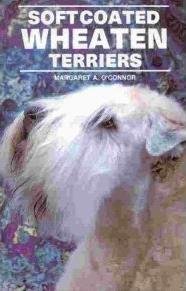 Soft-Coated Wheaten Terriers Pets