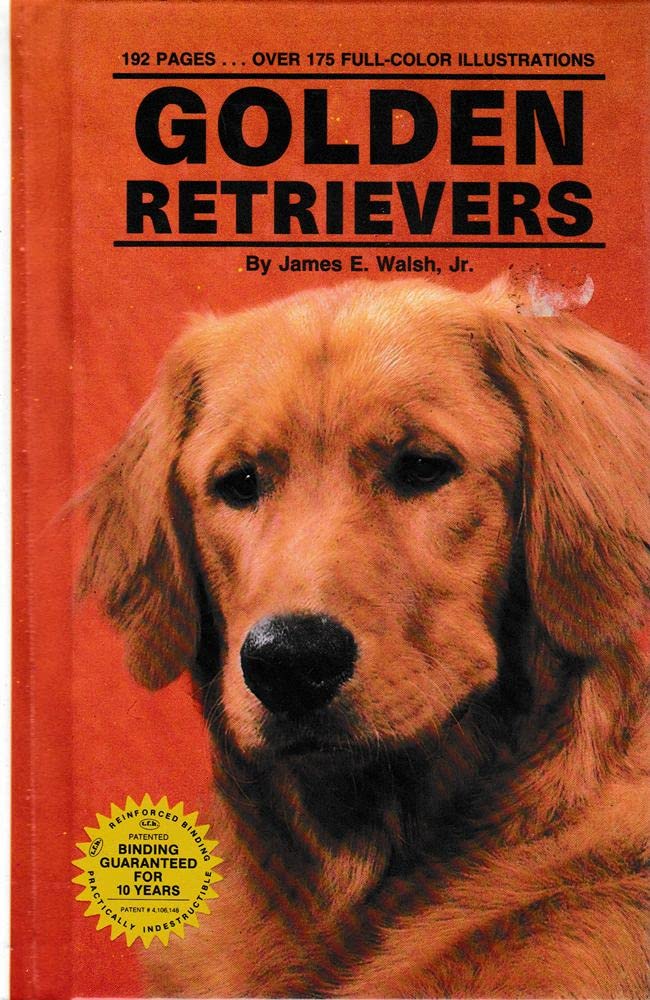 Golden Retrievers (Kw-067) Pets