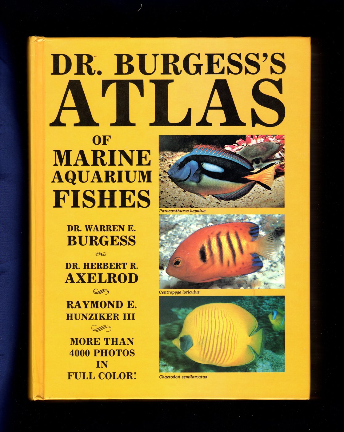 Atlas du Dr Burgess : poissons d'aquarium marin Pets