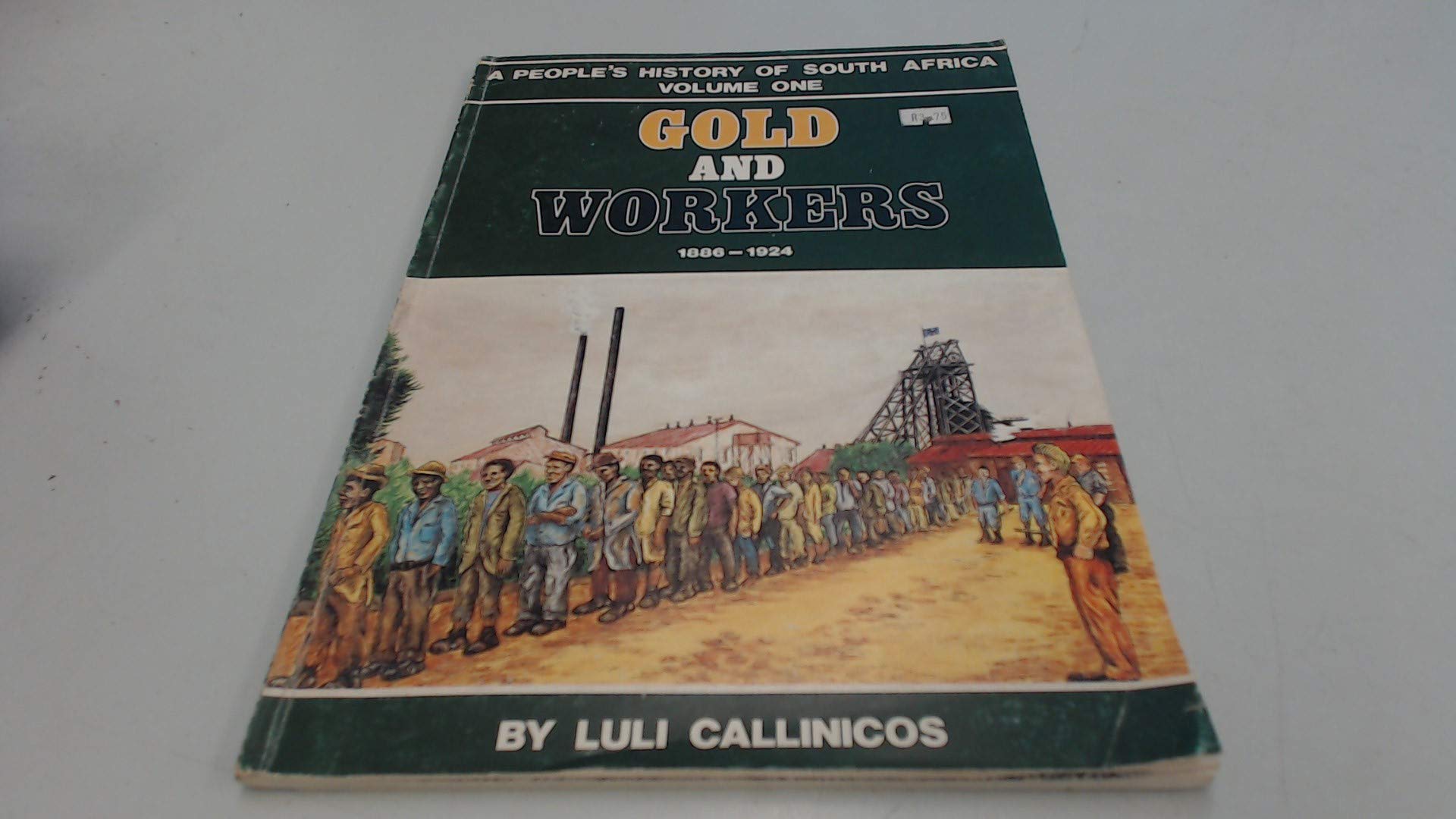 Gold and Workers 1886-1924 (People's History of South Africa, Band 1) Business, Finance & Career