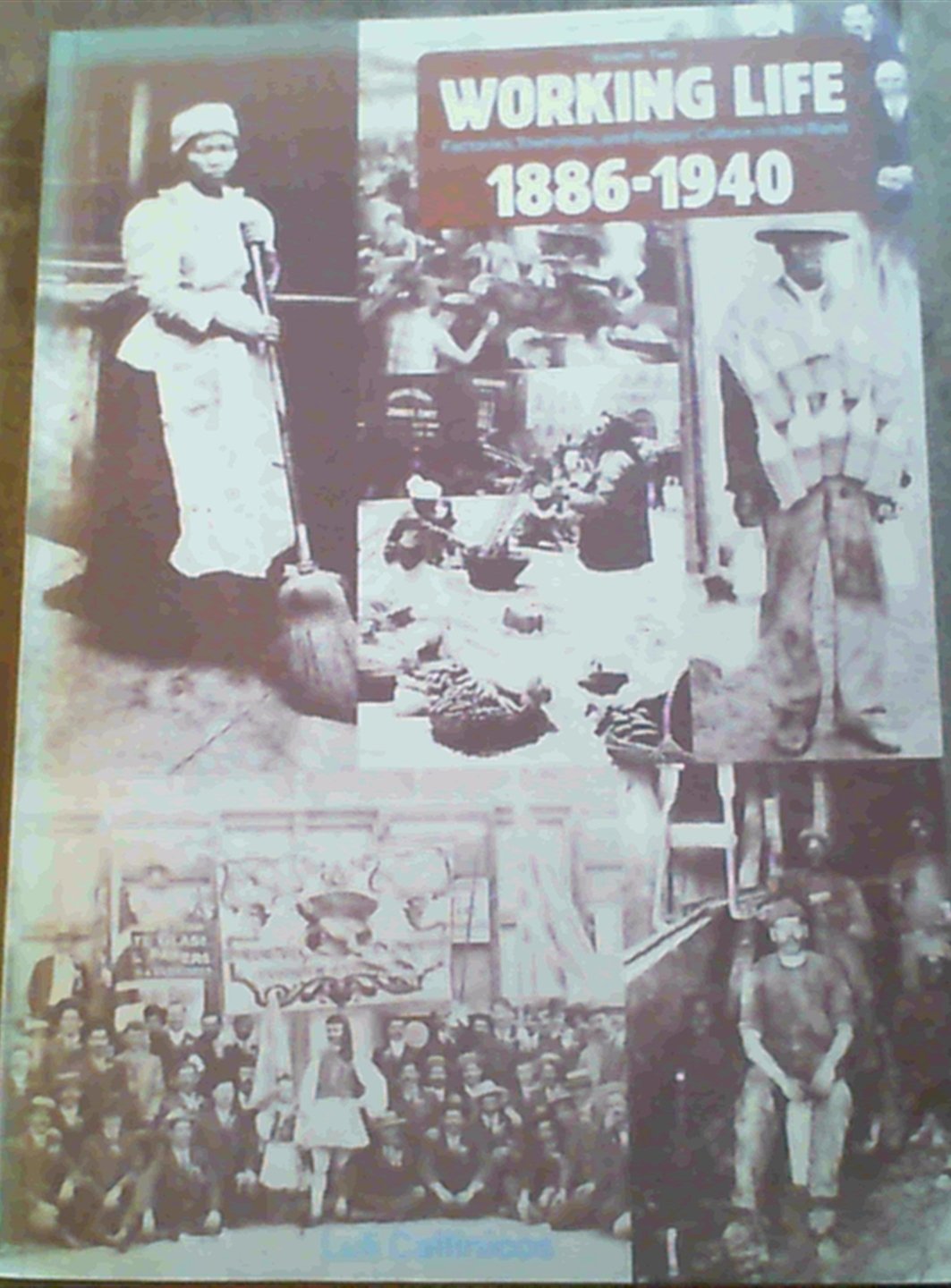 Working Life 1886-1940: Factories, Townships, and Popular Culture on the Rand (People's History of South Africa, Band 2) Business, Finance & Career