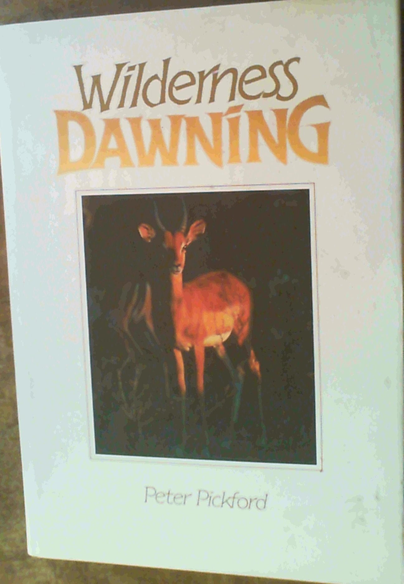 WILDERNESS DAWNING. Books