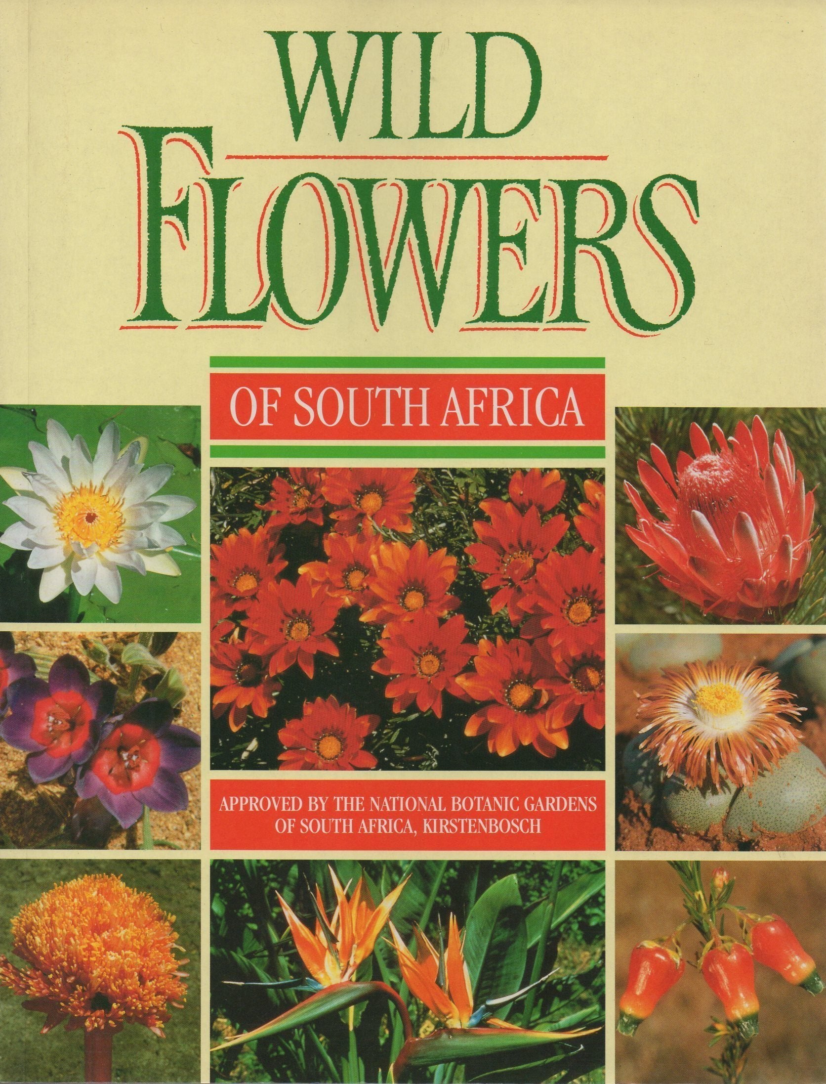 Wild Flowers of South Africa Mathematics
