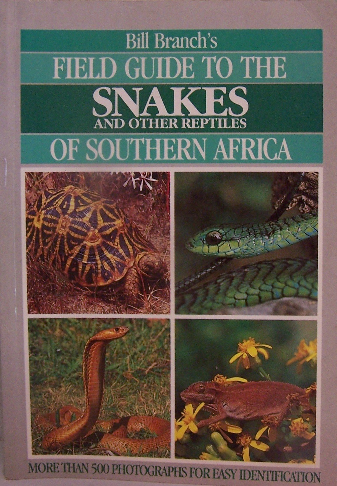Bill Branch's Field Guide to the Snakes and Other Reptiles of Southern Africa (More than 500 Photographs for Easy Identification) book