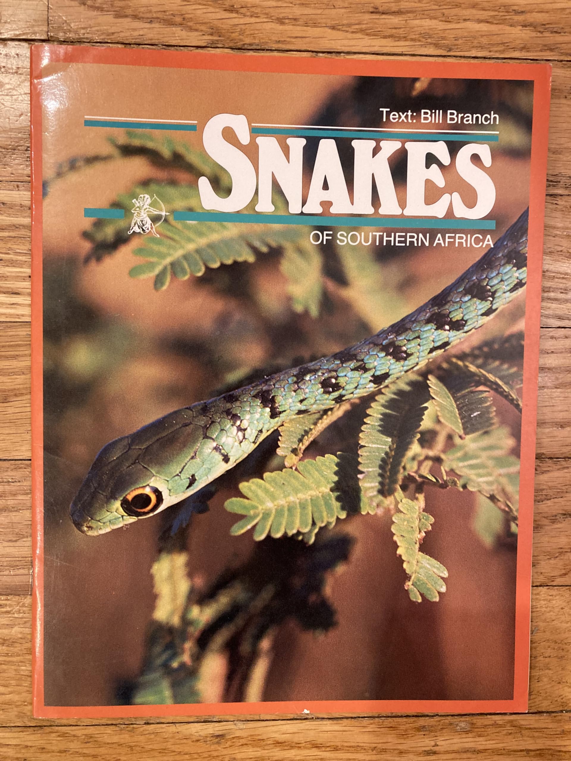 Snakes and Other Reptiles of Southern Africa (Colour Guides) Mathematics