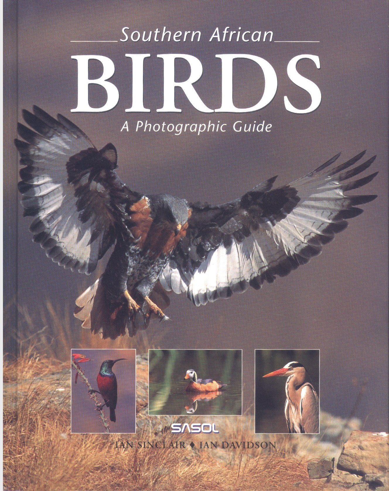 Southern African Birds: A Photographic Guide (Photographic Guides) Mathematics