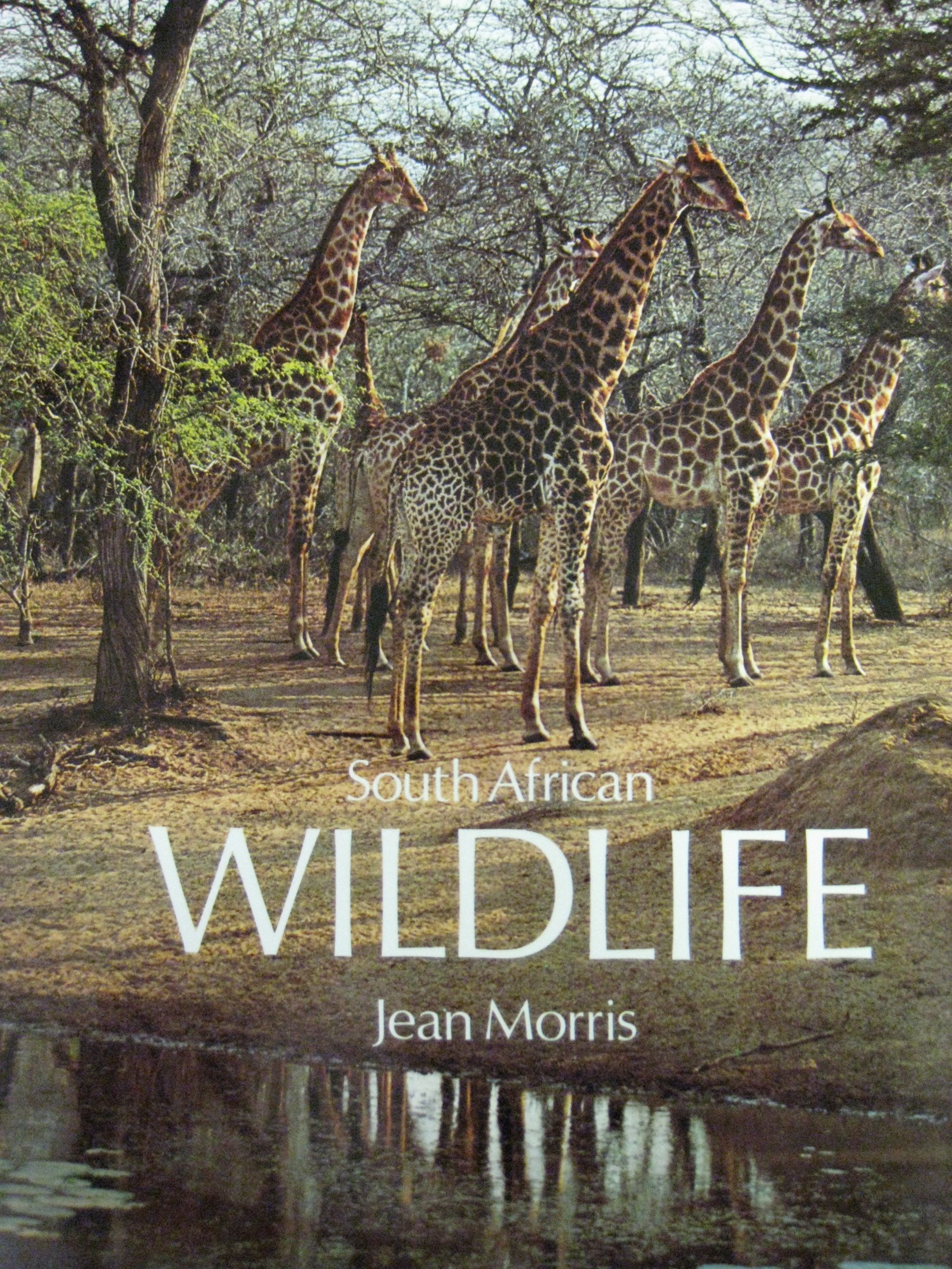 Product Image: South African Wildlife.