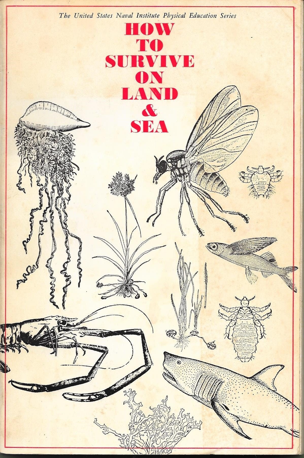 How to Survive on Land and Sea (Physical Education S.) Leisure, Home & Garden