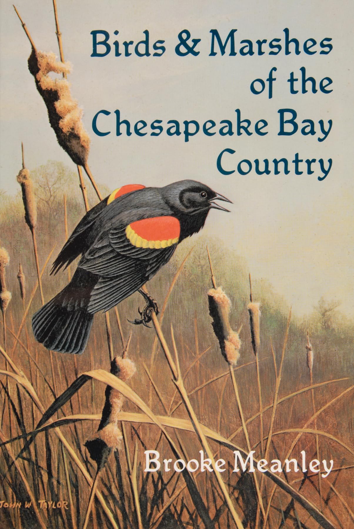 Birds & Marshes of the Chesapeake Bay Country Mathematics