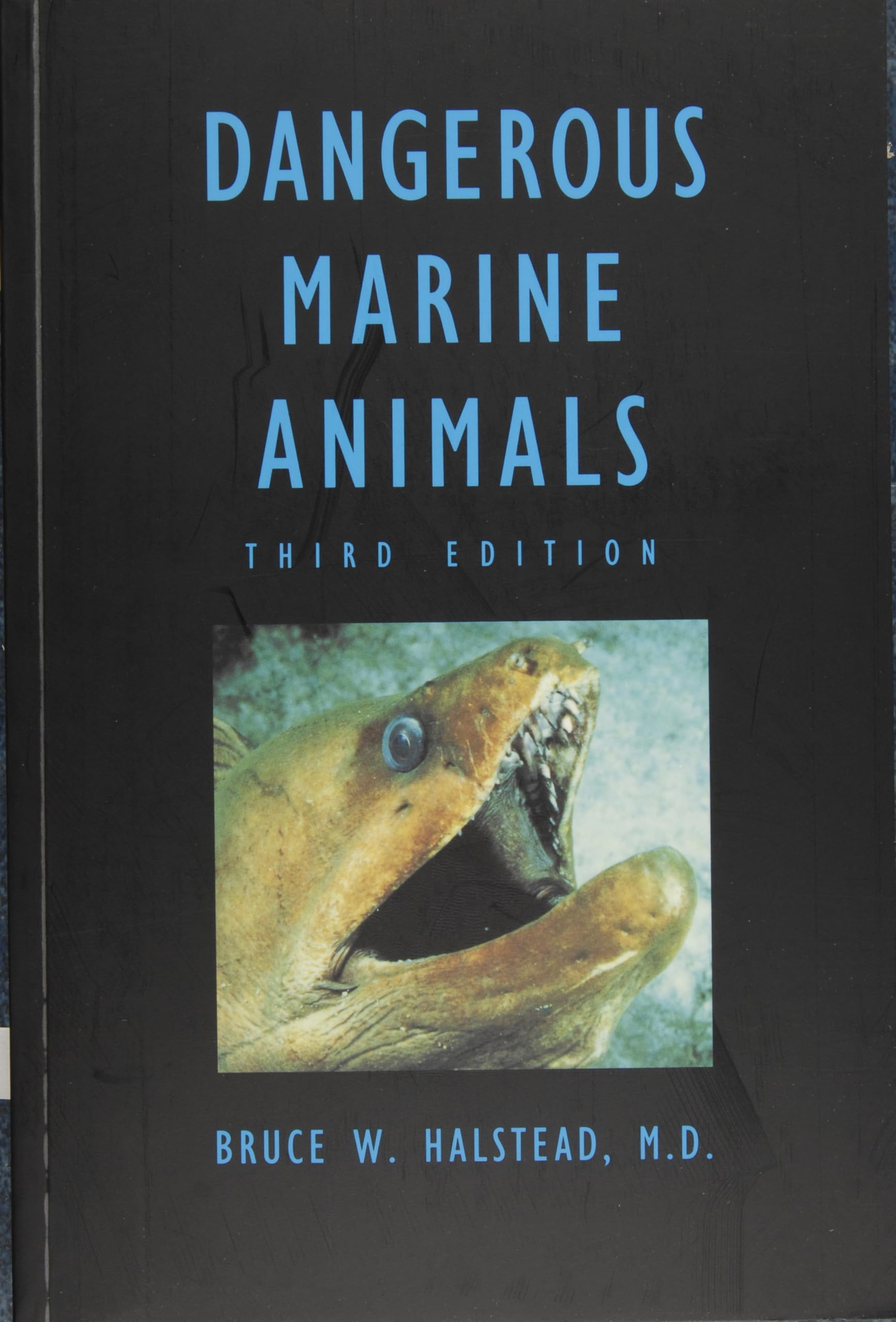 Dangerous Marine Animals That Bite, Sting, Shock, or Are Non-edible Mathematics