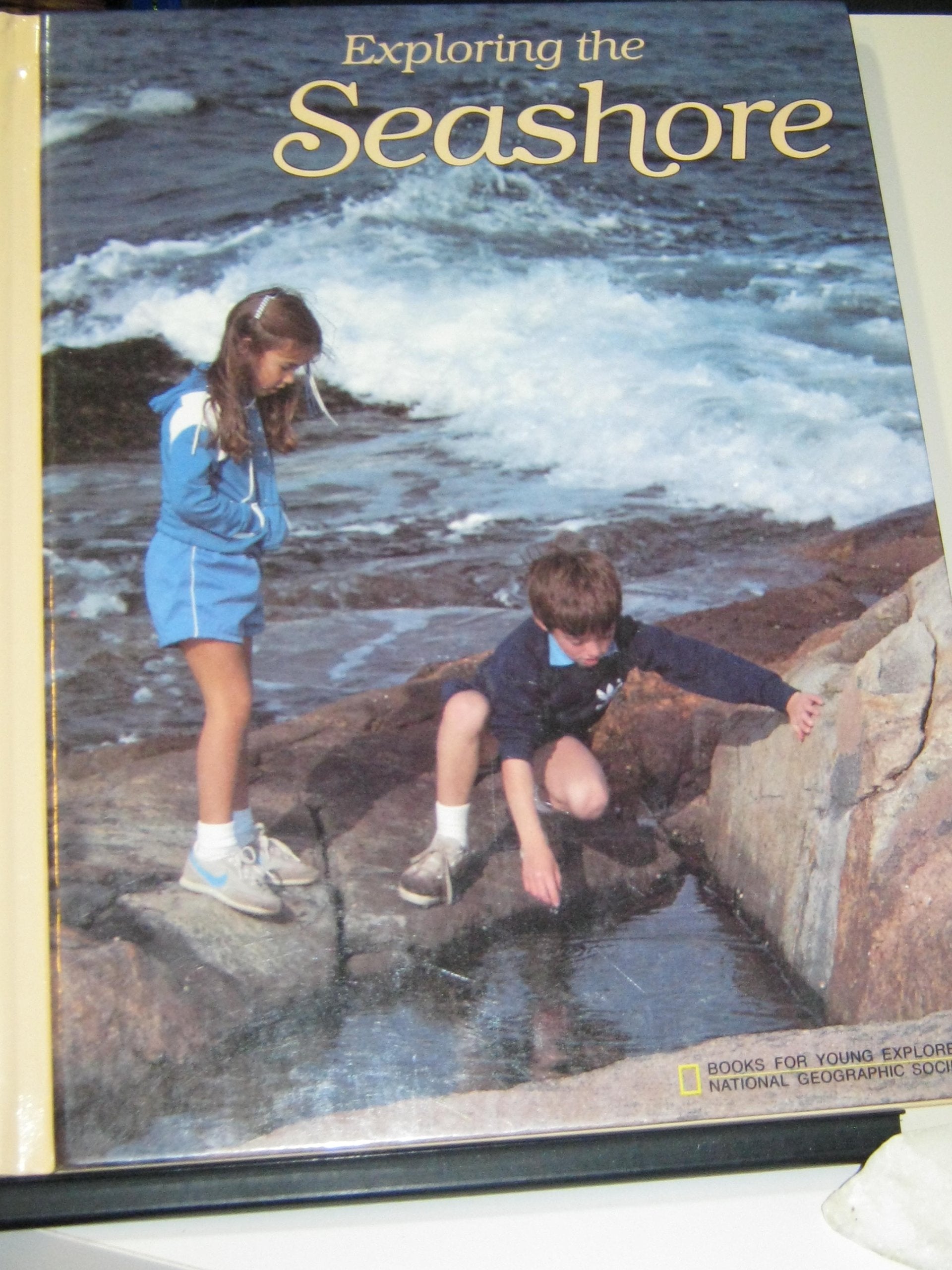 Product Image: Exploring the Seashore (Books for Young Explorers)