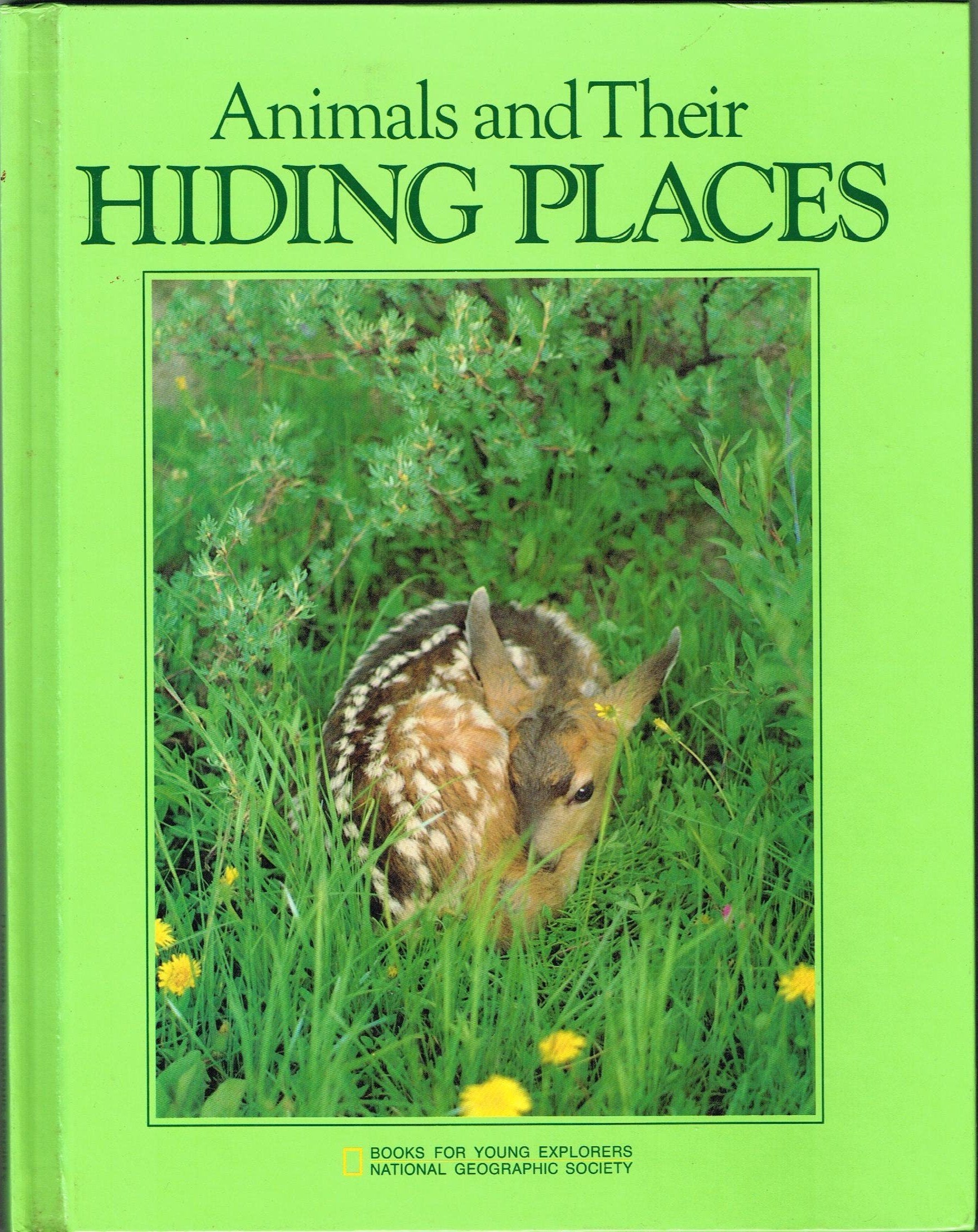Animals and Their Hiding Places Natural Sciences