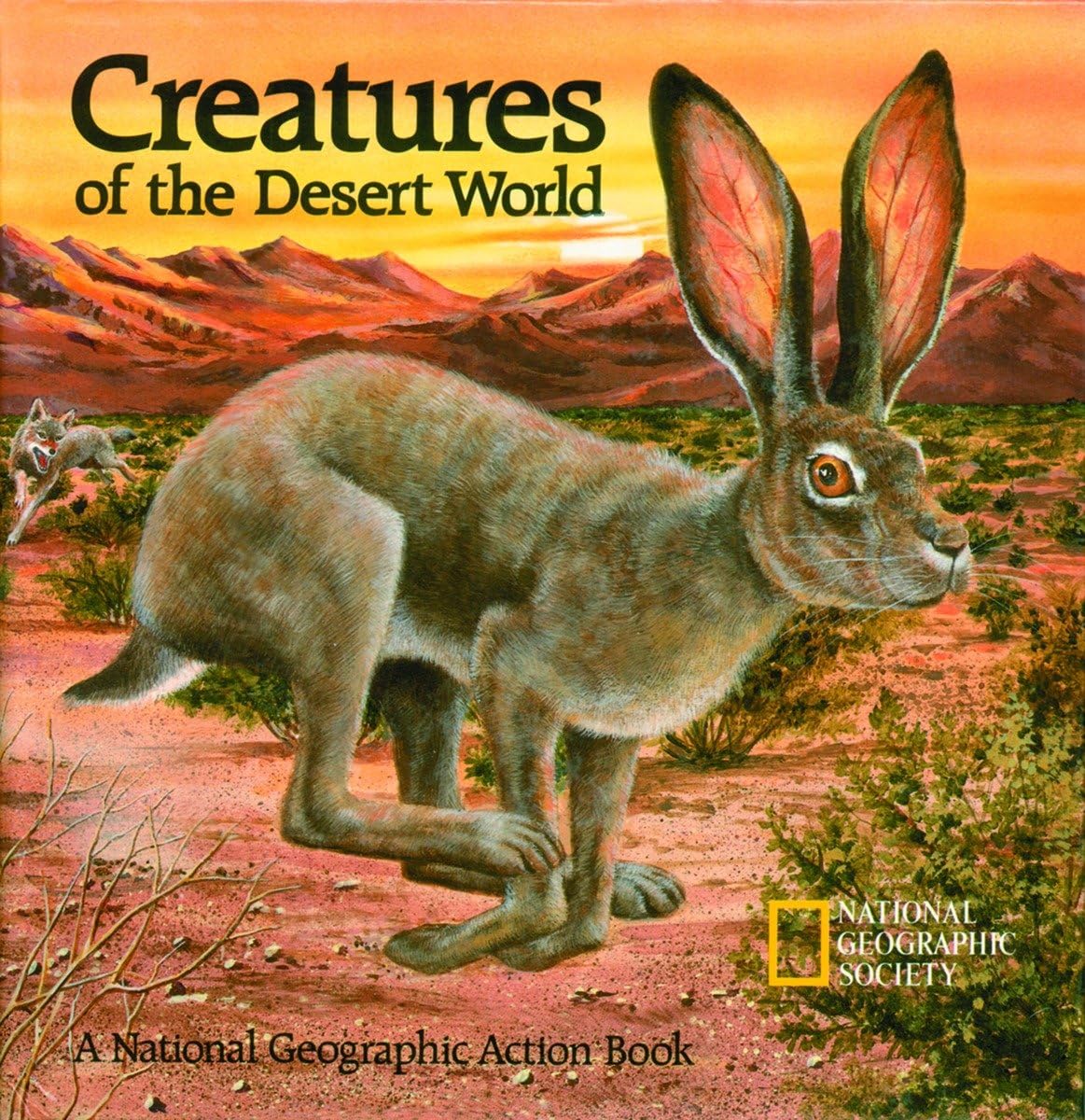 Creatures of the Desert World: A National Geographic Action Book (Action Books) Tiptoi & Games