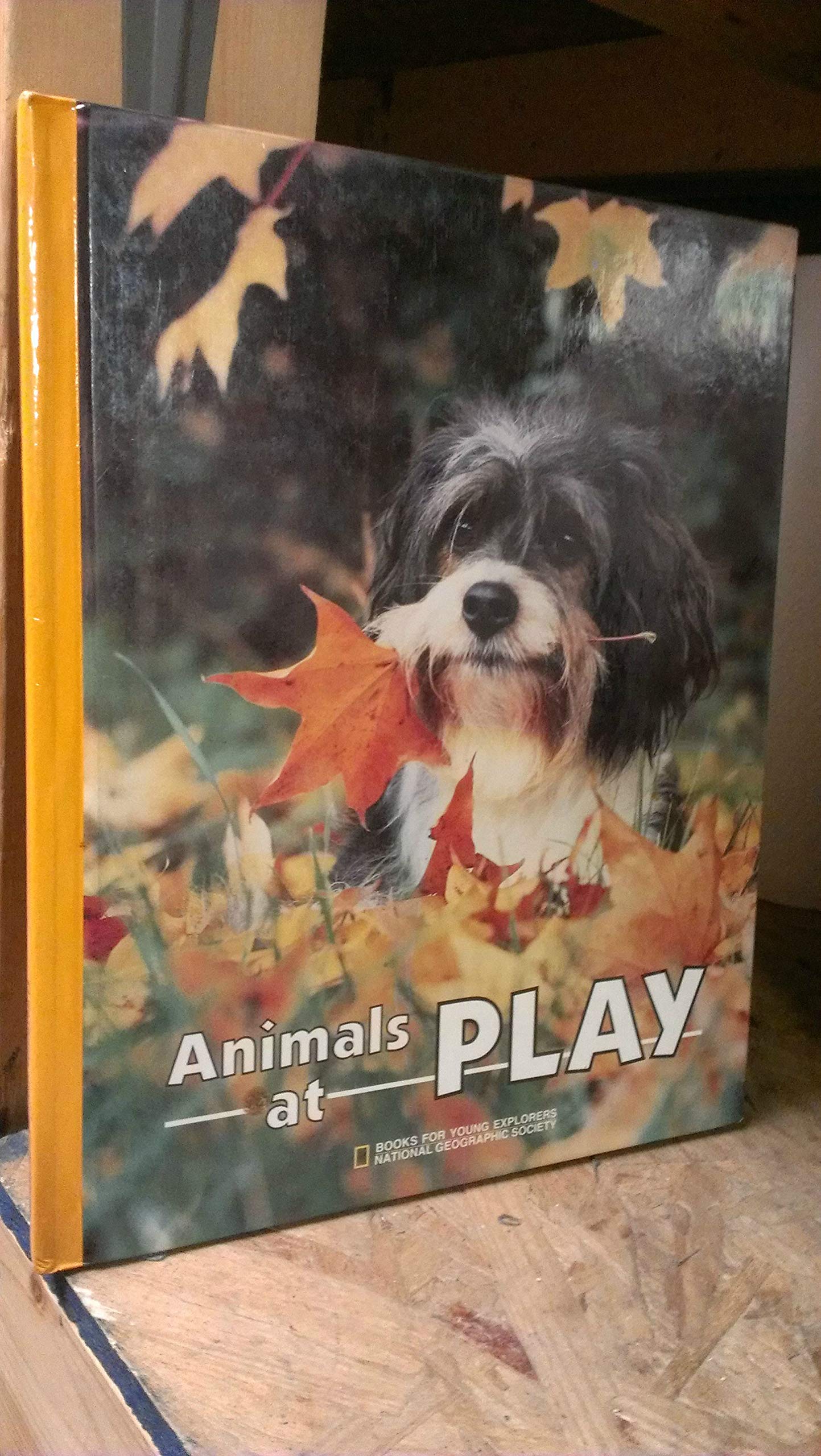 Animals at Play (Books for Young Explorers) Non-fiction