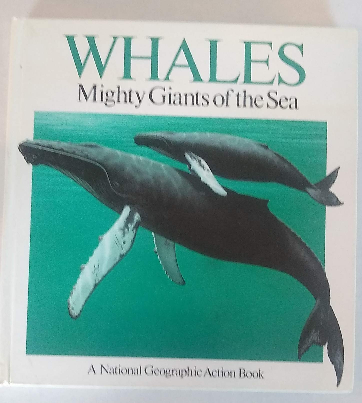 Pop-Up: Whales book