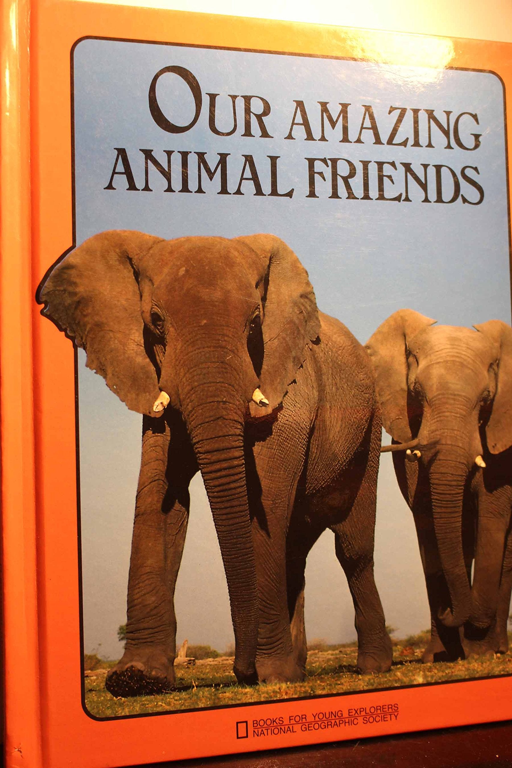 Our Amazing Animal Friends (Books for Young Explorers) Mathematics