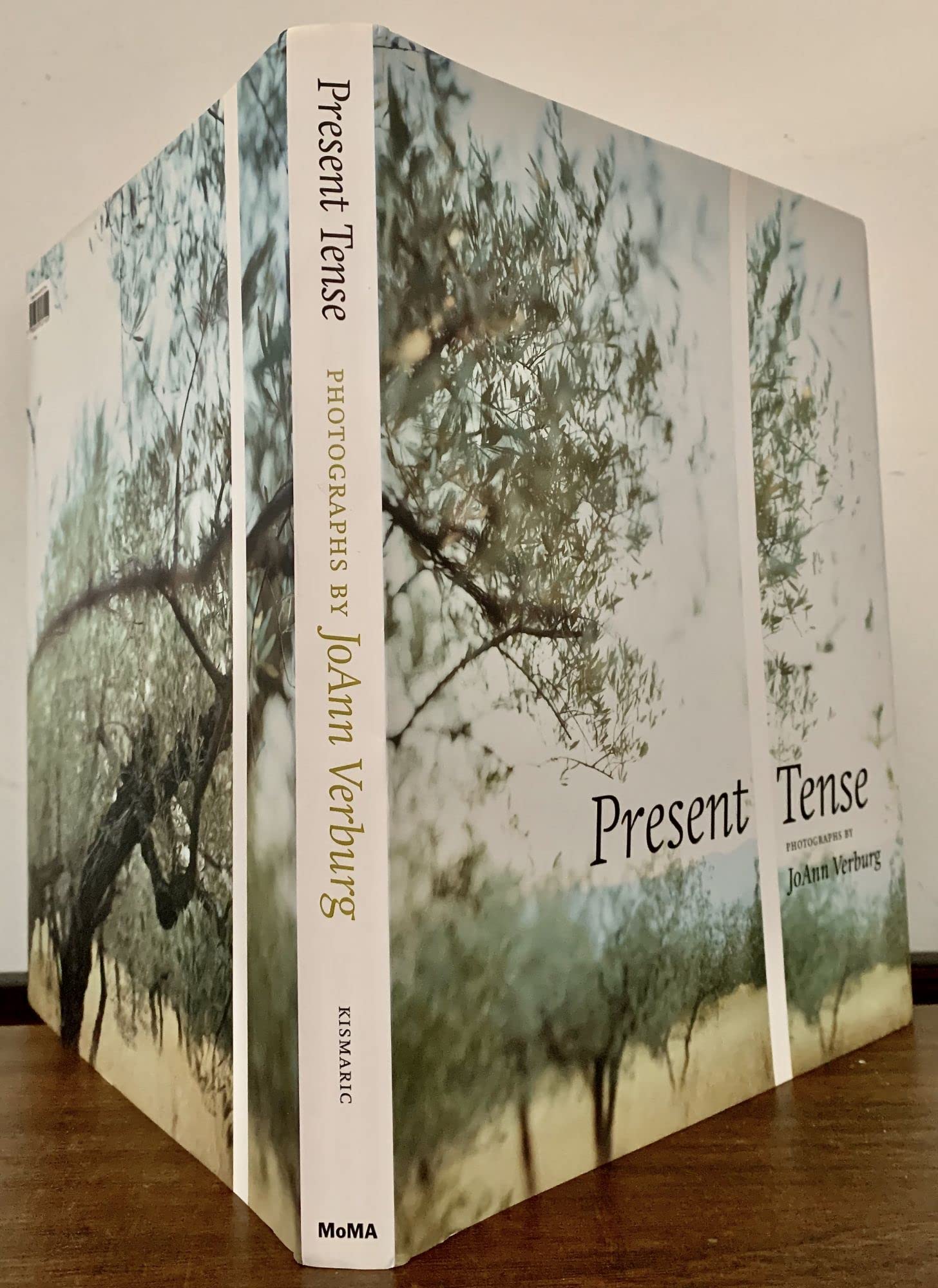 Present Tense: Photographs by JoAnn Verburg Travel