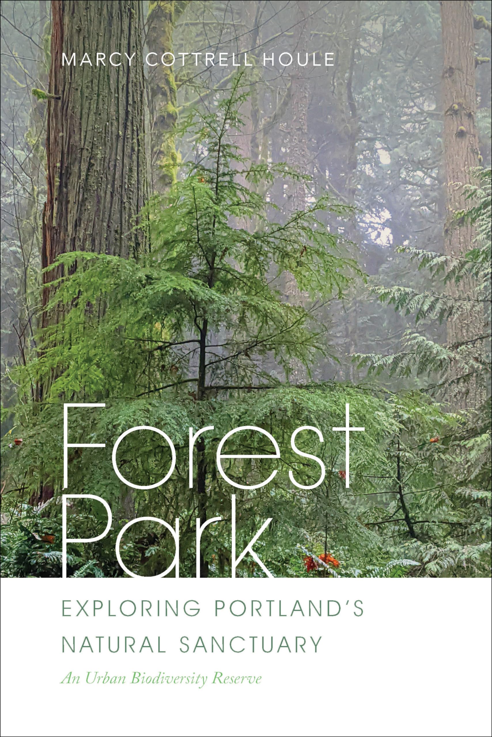 Forest Park: Exploring Portland's Natural Sanctuary Mathematics