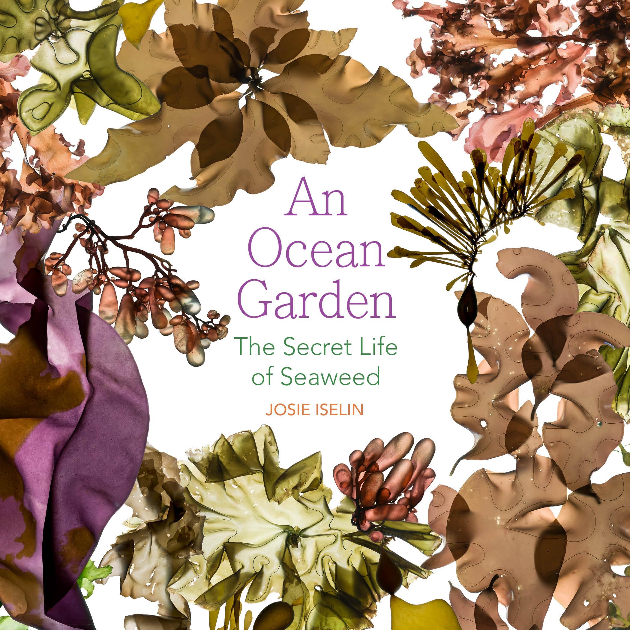 An Ocean Garden: The Secret Life of Seaweed Geology & Geography