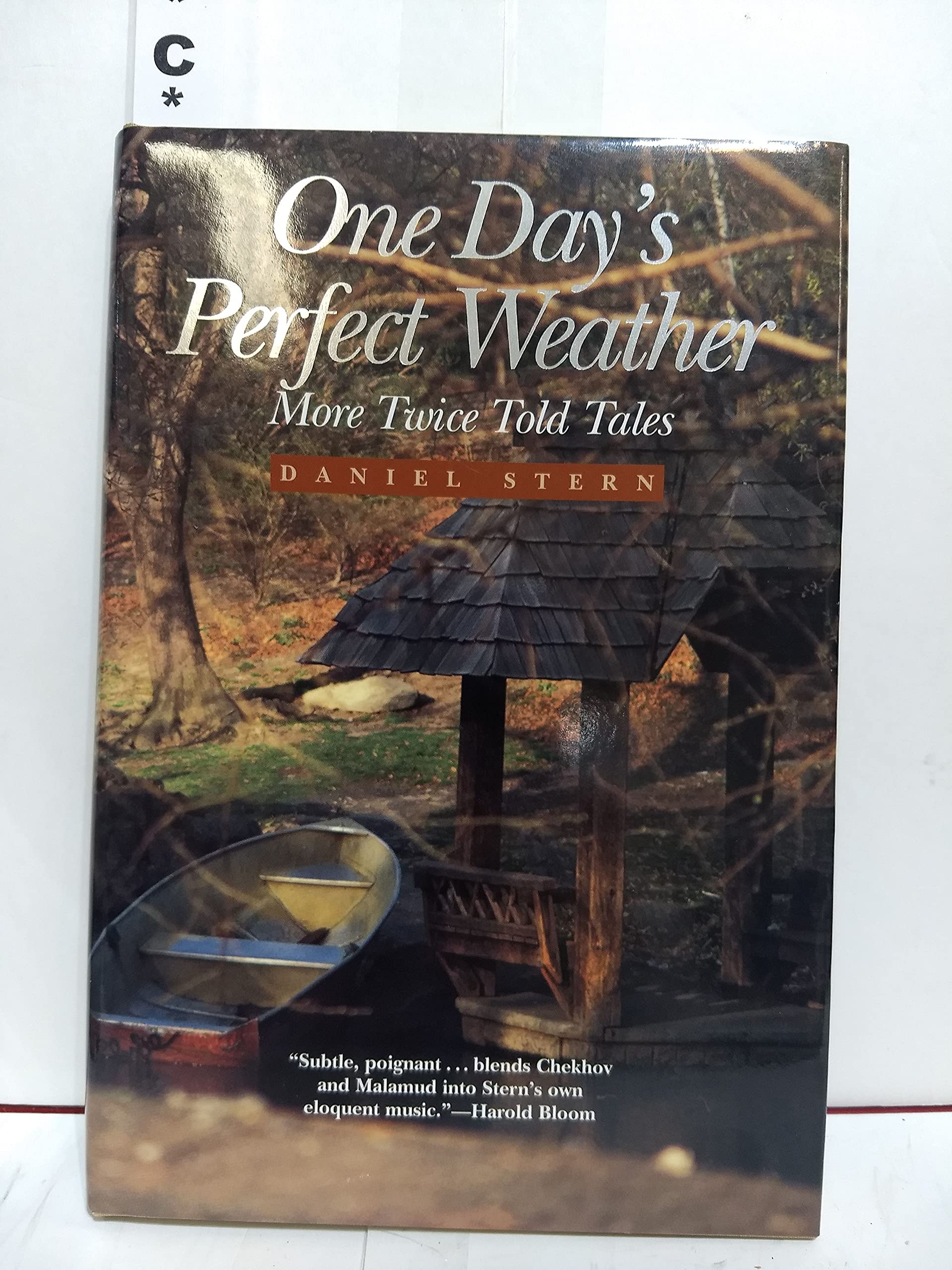 1 Day's Perfect Weather: More Twice Told Tales Essays & Short Stories