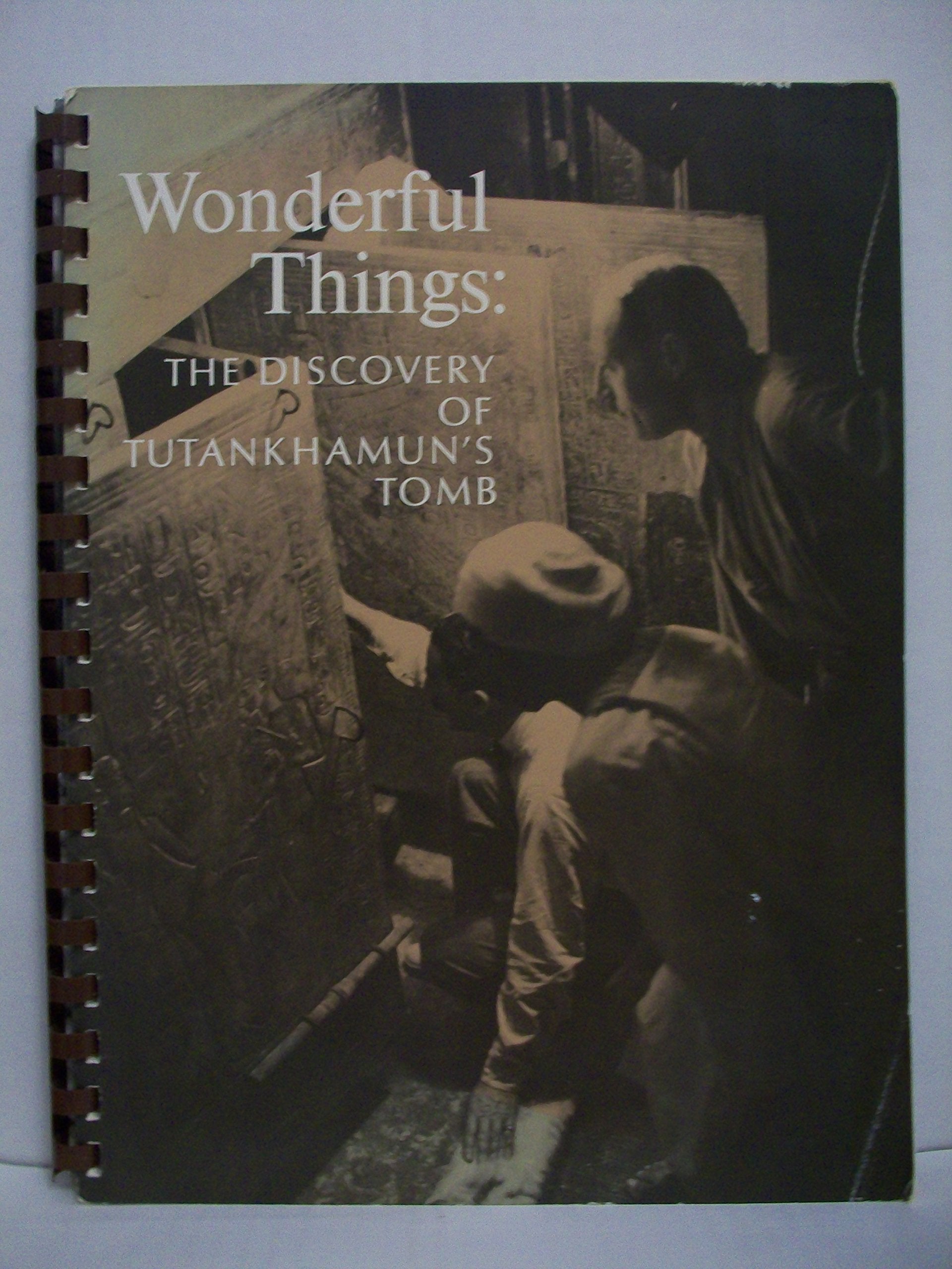 Wonderful things: The discovery of Tutankhamun's tomb Books