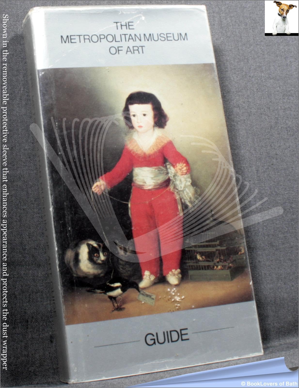 THE METROPOLITAN MUSEUM OF ART GUIDE. Books