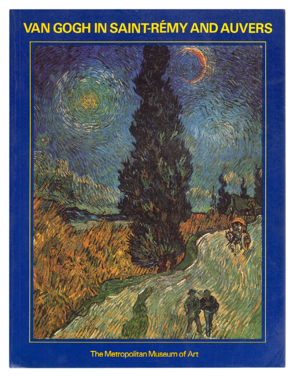Van Gogh in Saint Remy and Auvers/D2212P Film, Art & Culture