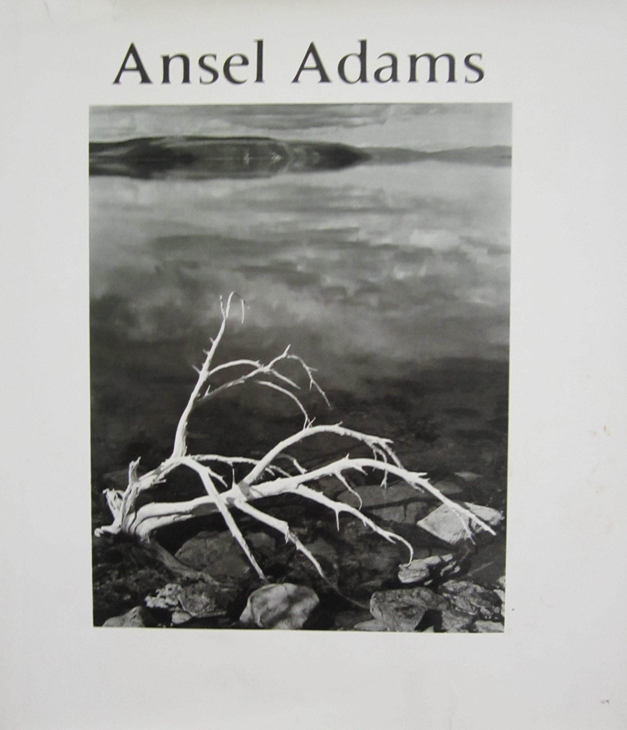 Ansel Adams book