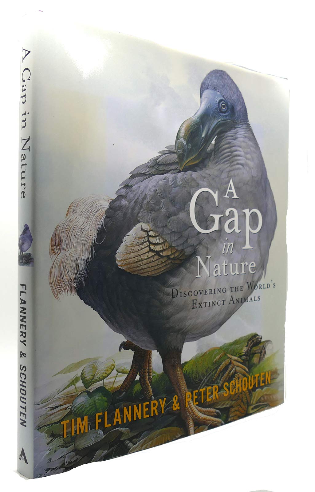 A Gap in Nature: Discovering the World's Extinct Animals Mathematics