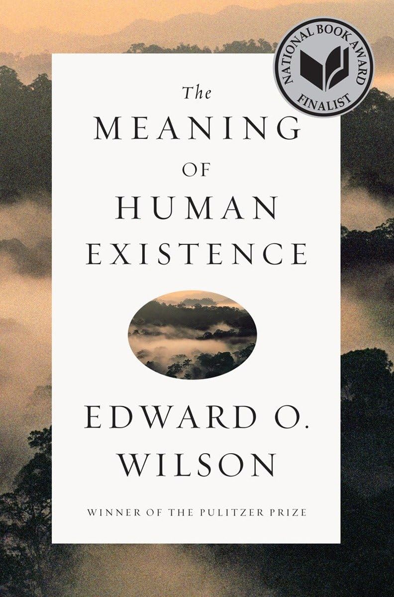 The Meaning of Human Existence Philosophy