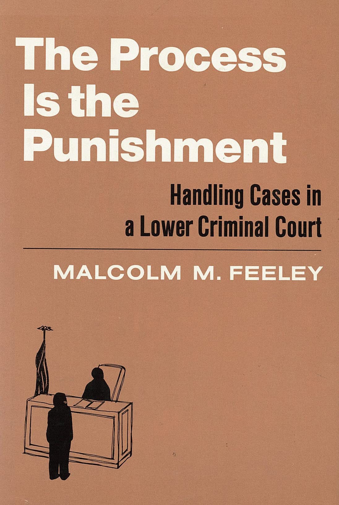 The Process is the Punishment: Handling Cases in a Lower Criminal Court book